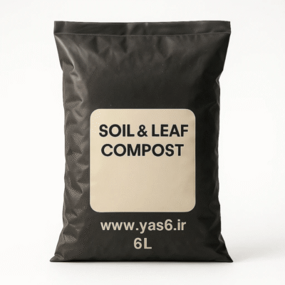 خاک آماده گیاهان آپارتمانی