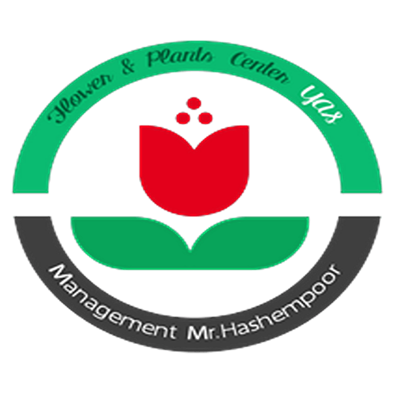 گلفروشی آنلاین یاس_Hashempor