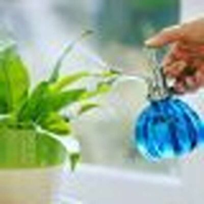 غذای رشد گیاه